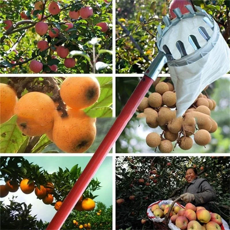 Gardening Tools Bag - Raccoglitore di Frutta per Giardino e