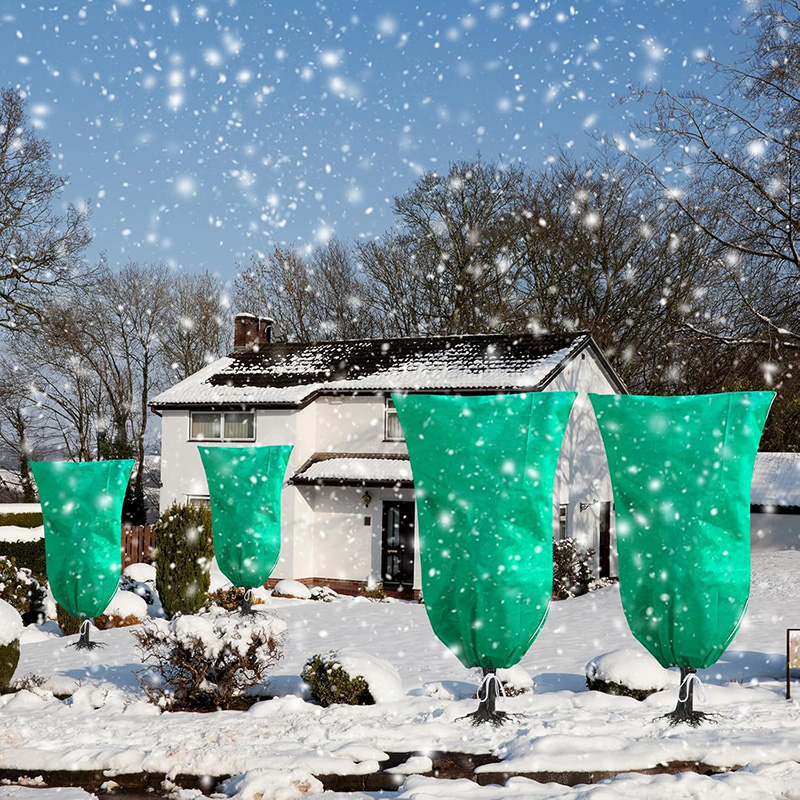 Coperture per piante Protezion - Outdoor Planting Bag recensione e prezzo