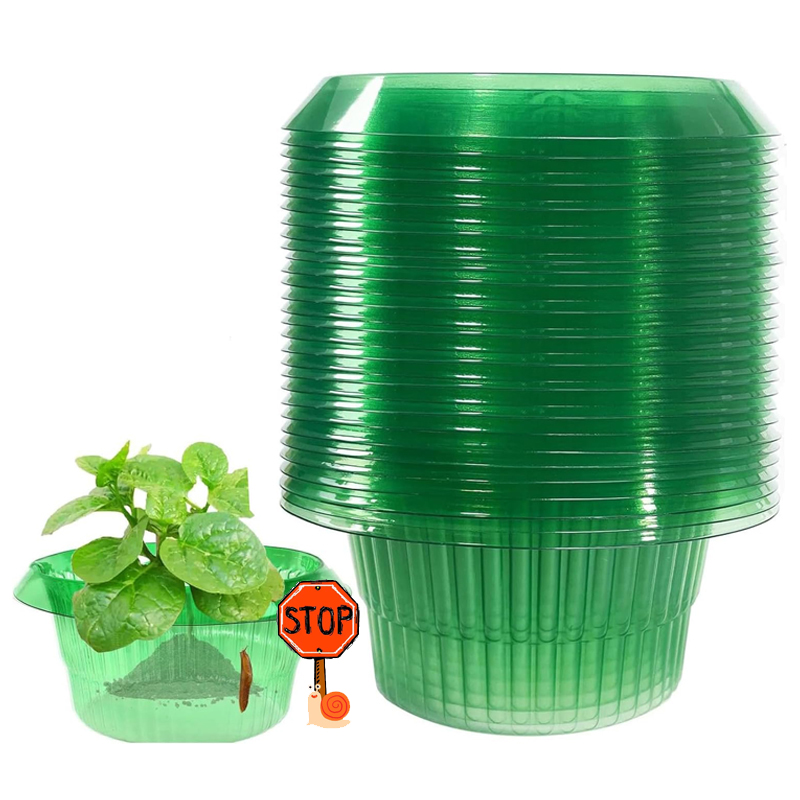 5-25 pezzi piante limace anell - Gardening Tools Green recensione e prezzo