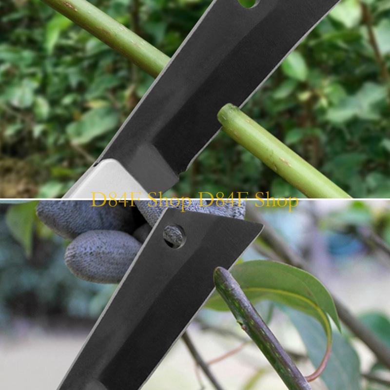 D84F Coltello da innesto piegh - Gardening Tools Essential recensione e prezzo