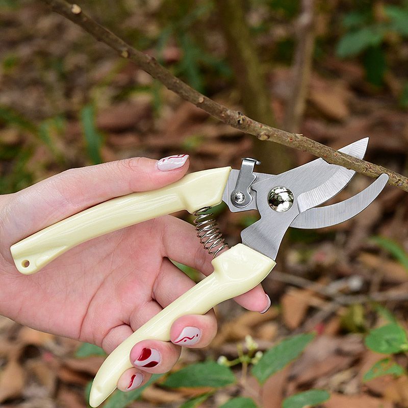 Forbici da Potatura da Giardin - Gardening Tools Brands recensione e prezzo