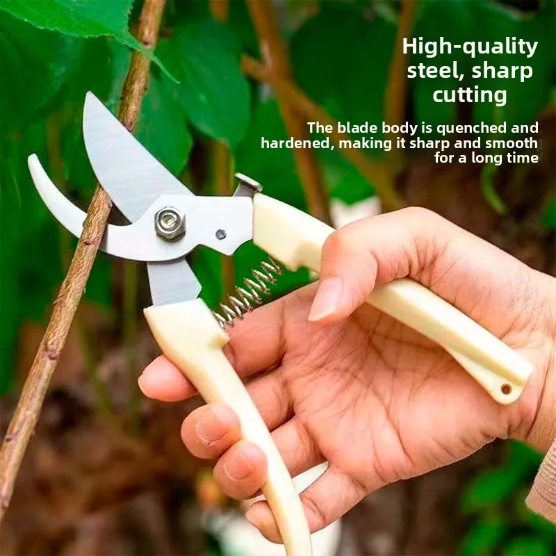 Forbici da Potatura da Giardin - Gardening Tools Brands recensione e prezzo