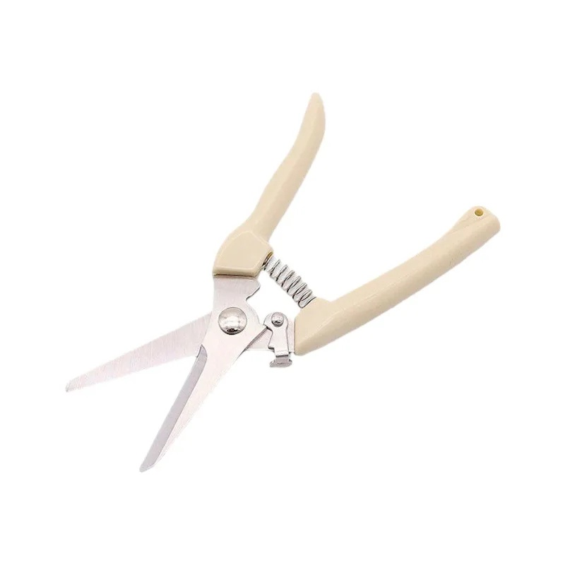 Forbici da Potatura da Giardin - Gardening Tools Brands recensione e prezzo