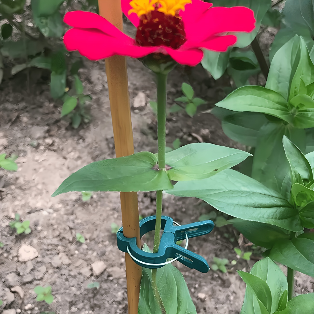 5 clip regolabili per piante,  - Gardening Tools Essential recensione e prezzo