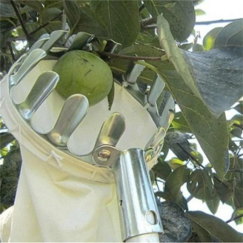 Raccoglitore di Frutta per Gia - Gardening Tools Bag recensione e prezzo