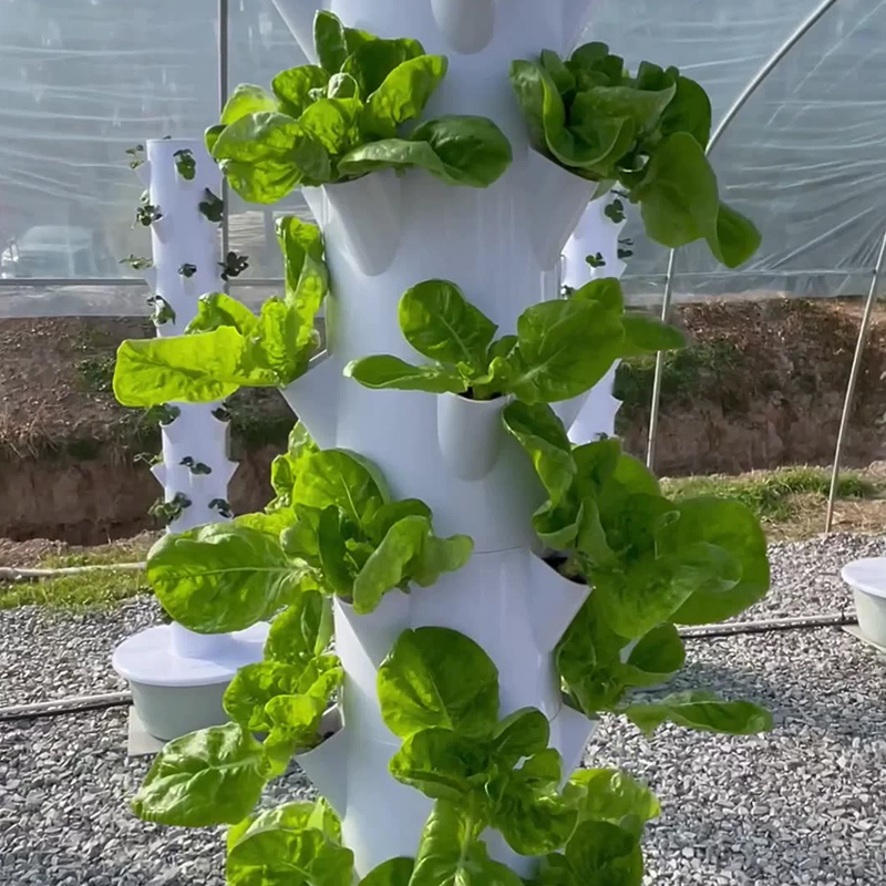 Con Led Coltiva La Luce Spazio - Gardening Tools Brands recensione e prezzo