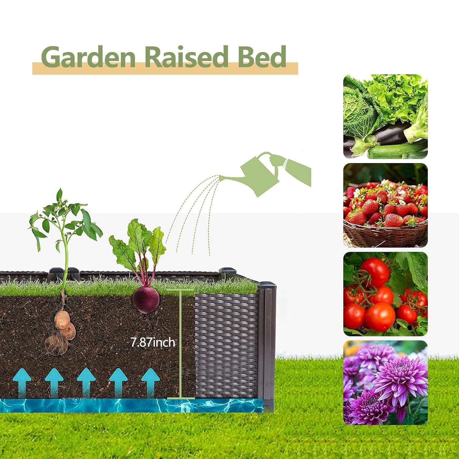 Fioriera Rialzata Autoirrigant - Gardening Tools Green recensione e prezzo