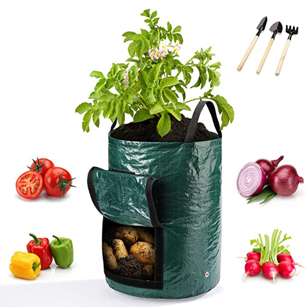 1 sacchetto da 10 galloni per  - Outdoor Planting Bag recensione e prezzo